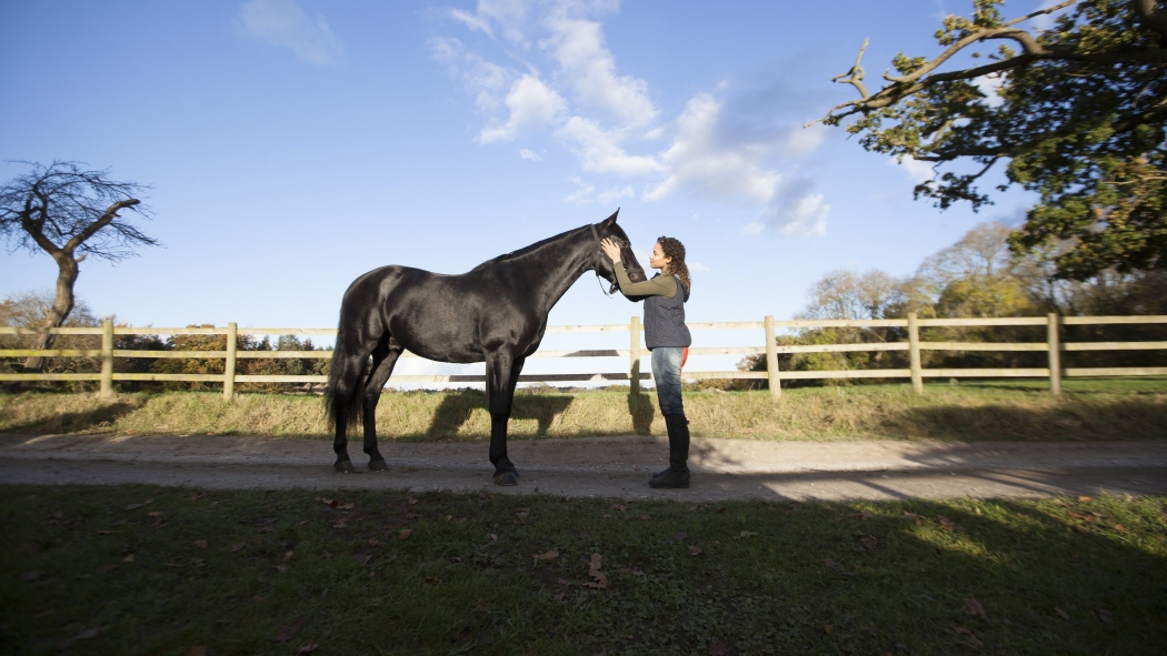 Kendini Özgür Bırak 2. Sezon 3. Bölüm izle
