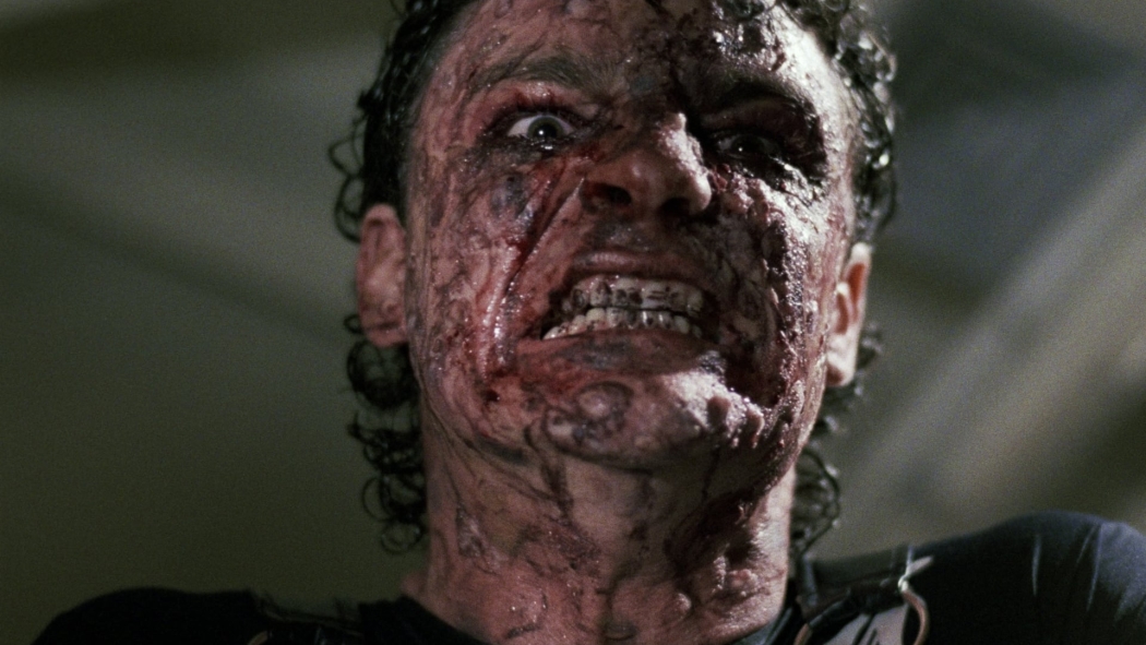 Yabani Öfke (1988) izle