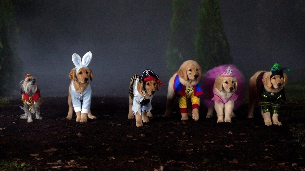 Hayalet Patileri izle